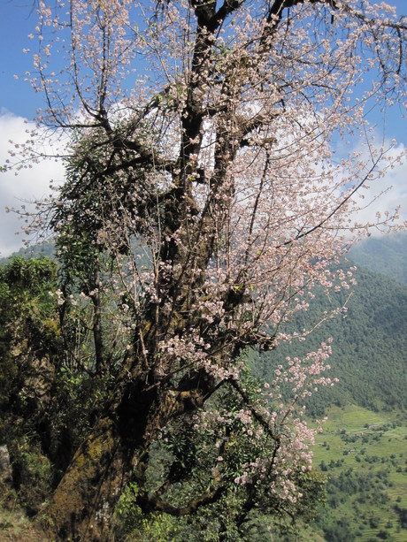a0254759_21101462.jpg