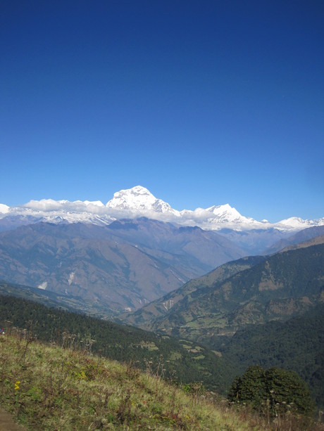 a0254759_21171821.jpg