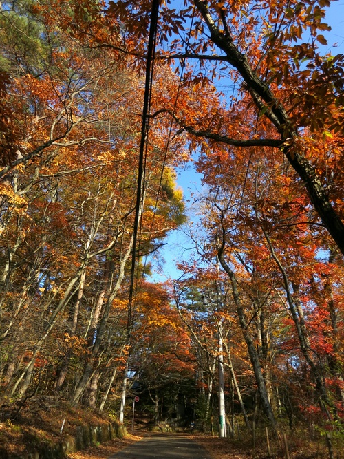 f0236260_2235325.jpg