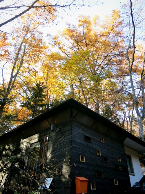 f0236260_22361552.jpg