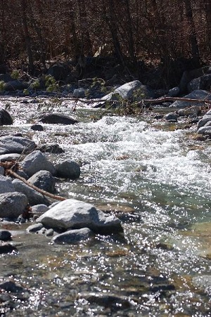 c0280261_7212620.jpg