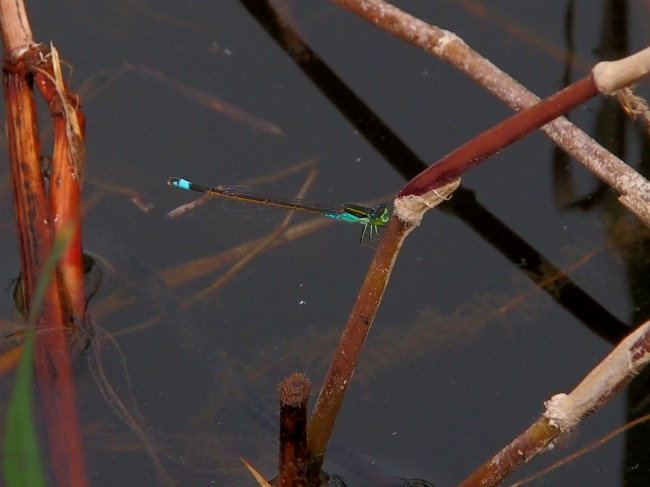 f0208666_1017271.jpg