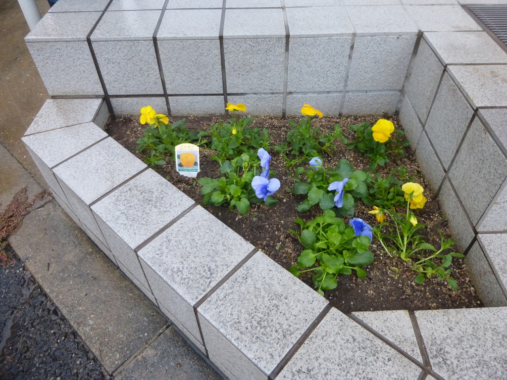 冬が来る前に_f0205367_18531859.jpg