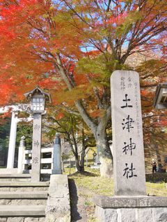 b0063468_221764.jpg