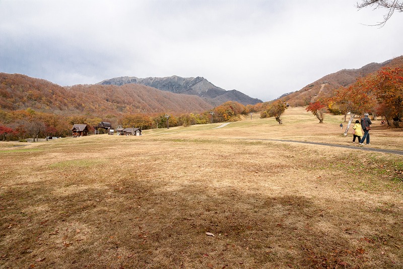 大山に行って来ました　その２（奥大山、木谷沢渓流）_b0198768_217329.jpg