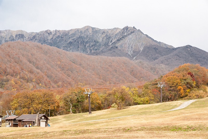 大山に行って来ました　その２（奥大山、木谷沢渓流）_b0198768_2174782.jpg