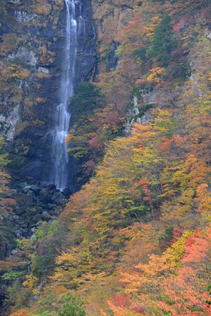 布引滝の紅葉 布引滝 峰さんの山あるき