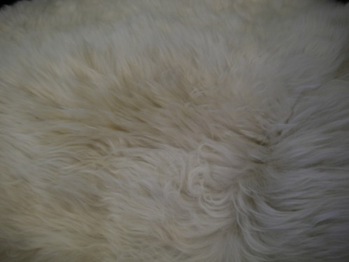 SHEEP SKIN from Australia...もふもふ♪ 深い色合い/毛が抜けにくく、色も褪せにくい/etc.!?_b0125570_9503518.jpg