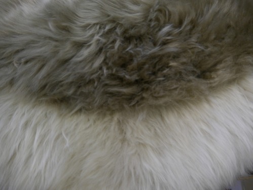 SHEEP SKIN from Australia...もふもふ♪ 深い色合い/毛が抜けにくく、色も褪せにくい/etc.!?_b0125570_9505592.jpg