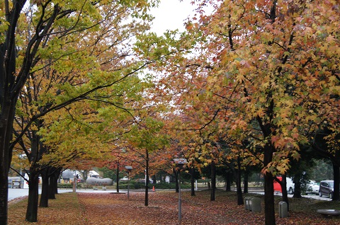 b0194872_21431246.jpg