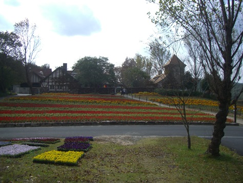 e0240973_19142948.jpg
