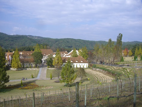 e0240973_191456100.jpg