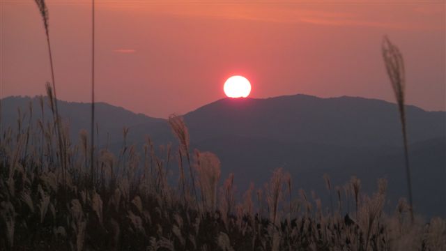 １１月写楽の会 「曽爾高原すすきの夕景」_b0208876_19555442.jpg