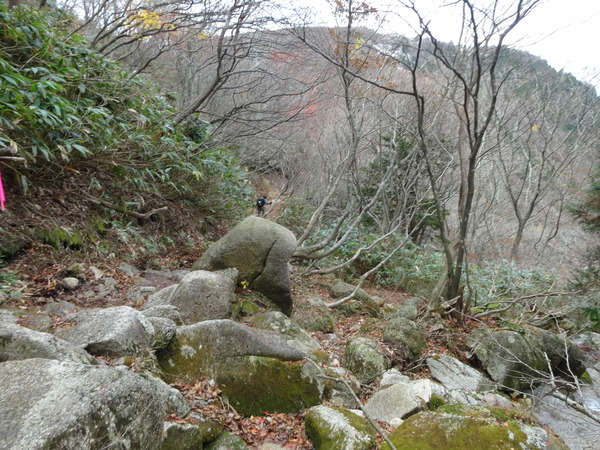 c0066176_8522021.jpg