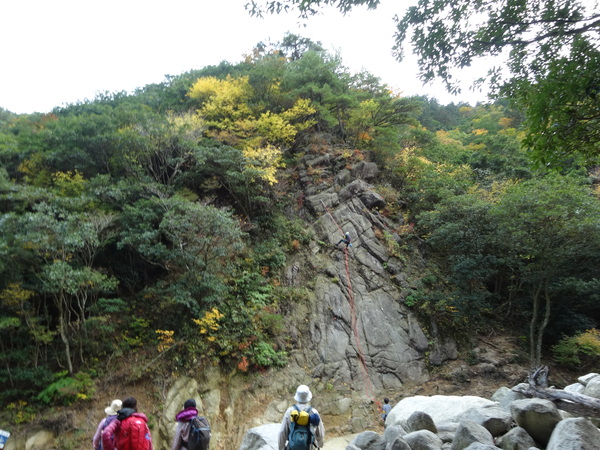c0066176_92095.jpg