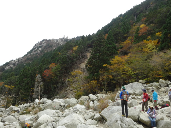 c0066176_934359.jpg