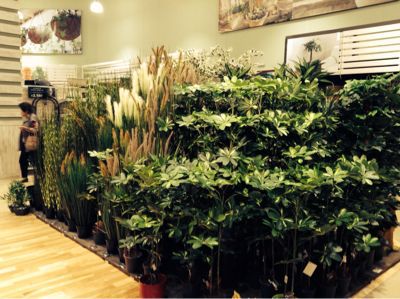 カインズホーム 農cafe 月の庭