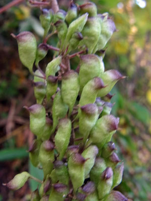 f0083977_23435634.jpg