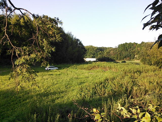 e0055880_13335636.jpg