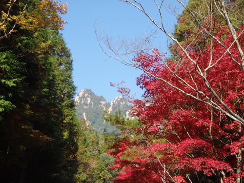 f0223480_16111116.jpg