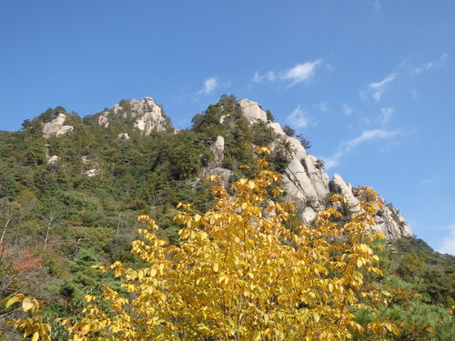f0223480_16134059.jpg
