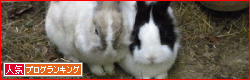b0181081_9195152.gif