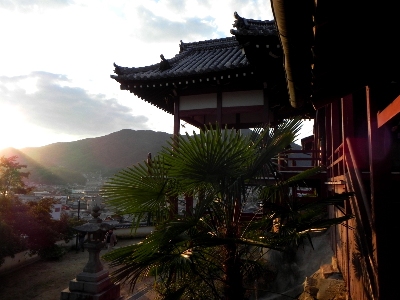 d0155582_9154181.jpg