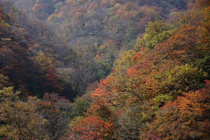 e0165983_1049388.jpg