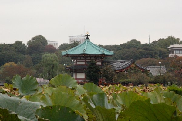 e0318883_7172356.jpg