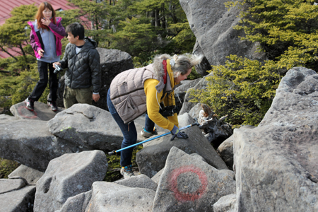 今年の見納め 白駒の池~高見石_f0145483_19305761.jpg