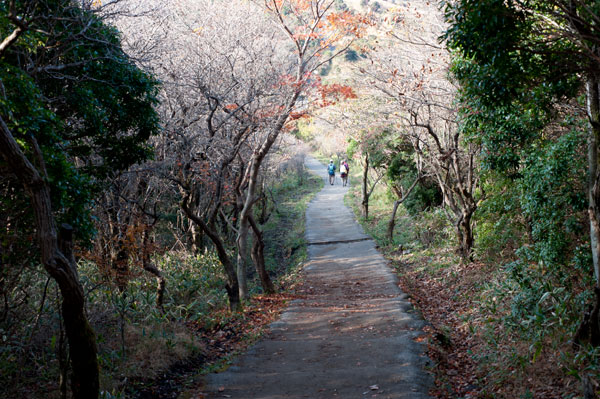 c0168986_14234141.jpg