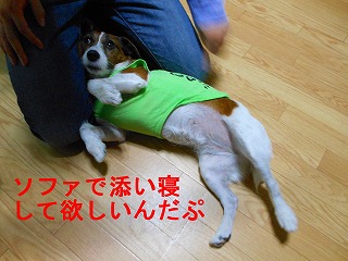 e0121589_20215999.jpg