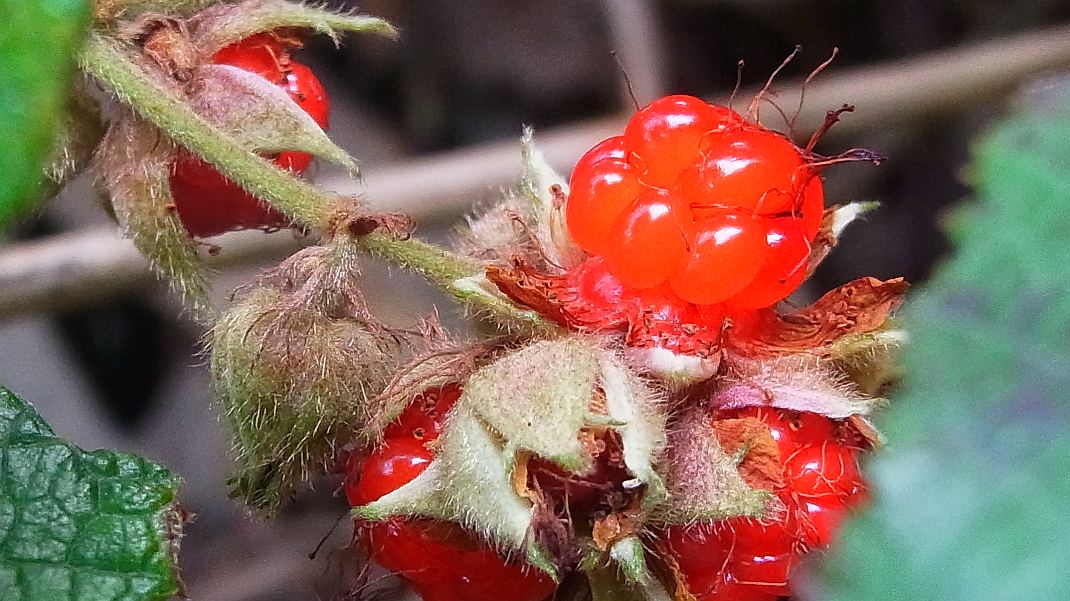 a0152692_20404489.jpg
