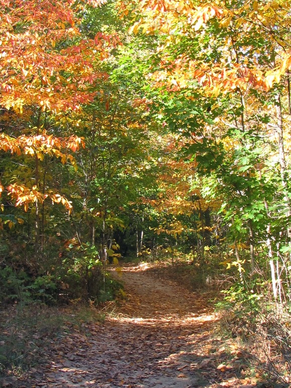 e0161692_222590.jpg