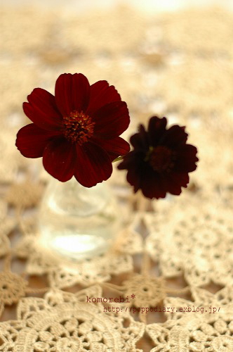 a0134594_21321360.jpg
