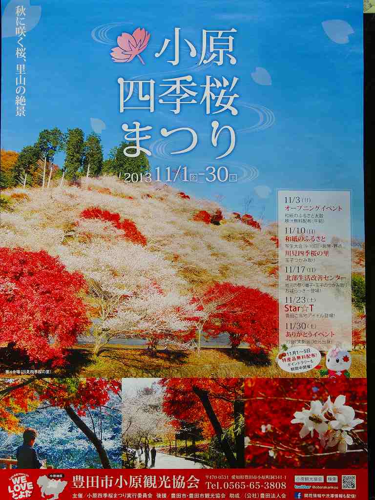 紅葉と四季桜_c0265095_15294060.jpg