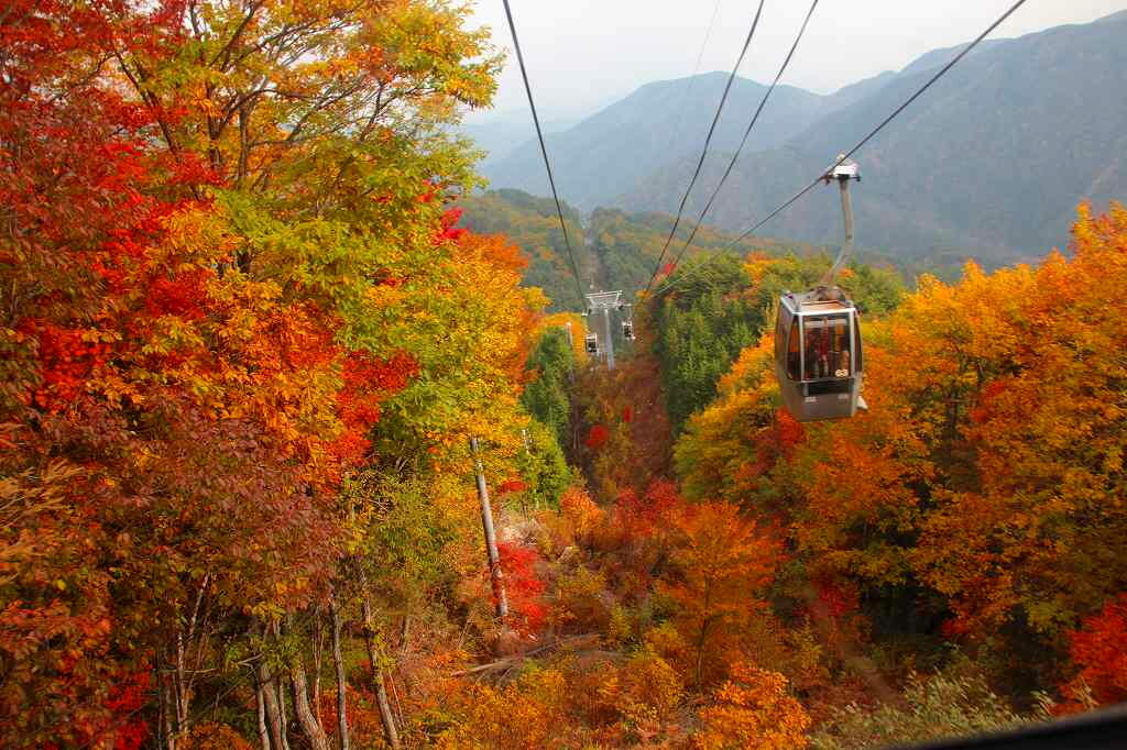 天空紅葉_c0265095_1548438.jpg