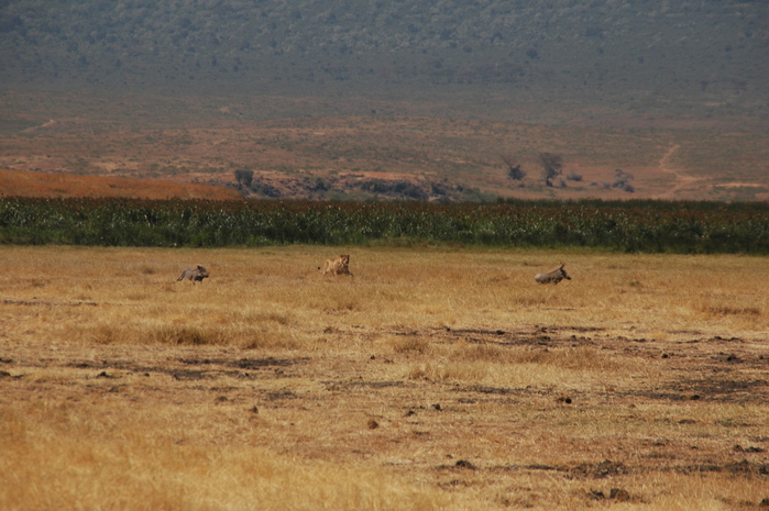 a0243396_22132894.jpg