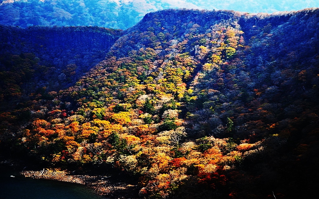 2013年11月9日(土)　大浪池の紅葉_e0095197_953486.jpg