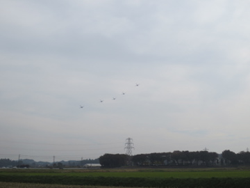 a0117599_10361099.jpg