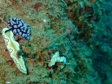 e0115199_15374970.jpg