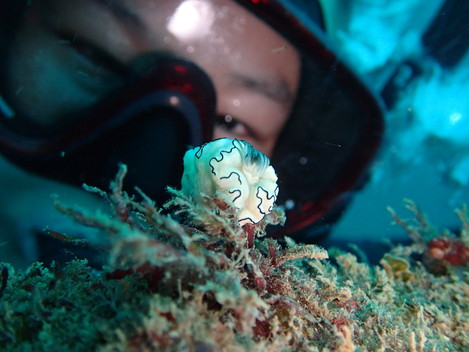 e0115199_1538207.jpg