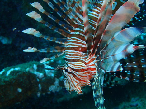 e0115199_15382834.jpg