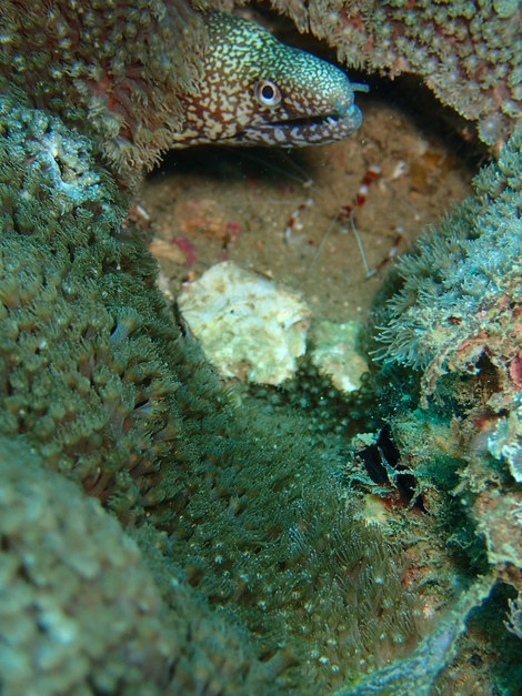 e0115199_15383412.jpg