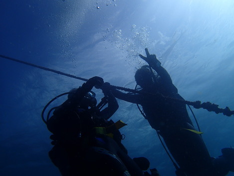 e0115199_15384179.jpg