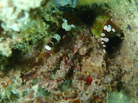 e0115199_17543458.jpg