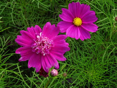 c0125501_16324999.jpg