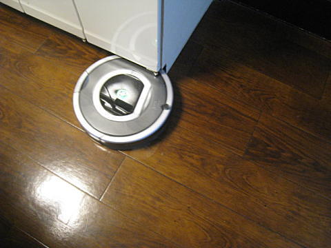 d0046702_1712188.jpg