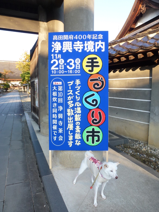 d0293002_22194341.jpg