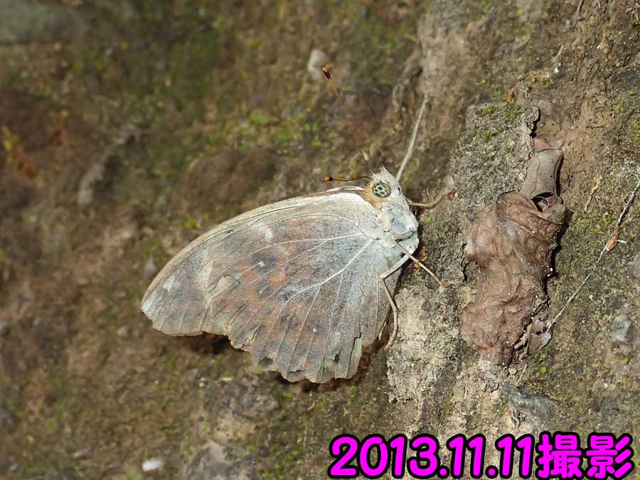 e0253104_22571542.jpg